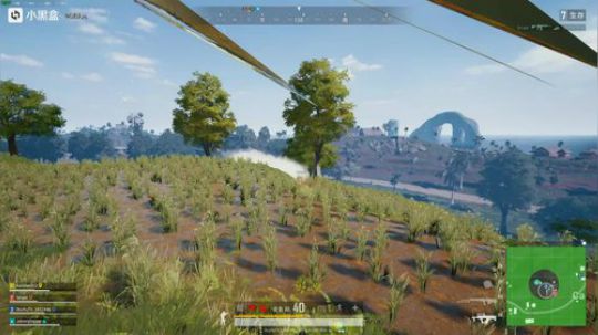 我表示这鸡吃的真没意思！