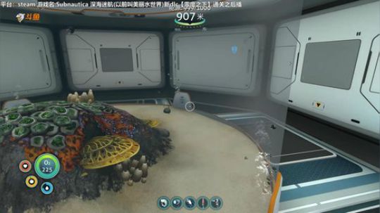 【司徒】海皇:我来啦老弟~ 2019-07-05 08点场