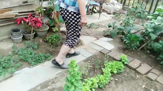 萌新猎人，请多关照！ 2019-07-06 15点场