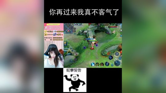 王者理论嘟小姐：甄姬歪传。