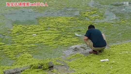 西北老狼哥哥发布了一个斗鱼视频2019-07-07