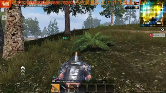 臭豆腐一大伟的直播间 2019-07-01 17点场