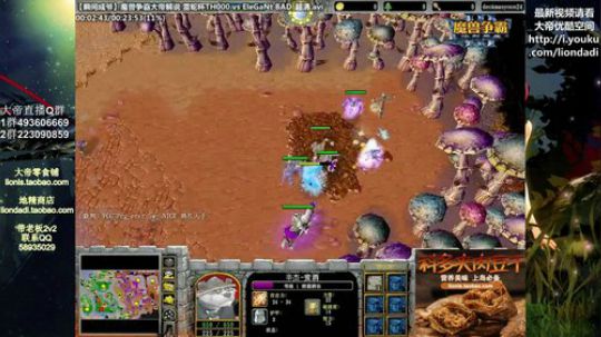 我在斗鱼看大帝LioN直播魔兽争霸