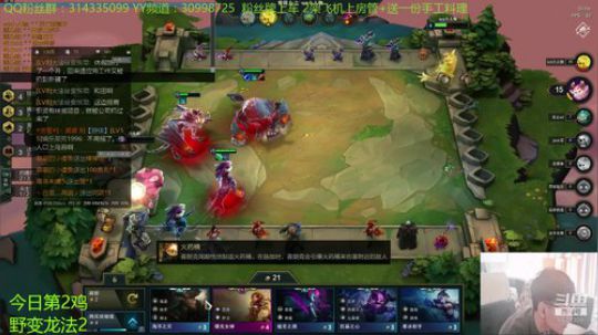 新手的恰鸡之旅 2019-07-07 05点场