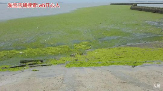 西北老狼哥哥发布了一个斗鱼视频2019-07-07