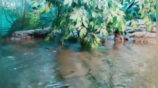 姑：上海海洋馆走起 2019-06-29 12点场