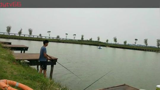 我又肥来了 828705 2019-07-08 15点场