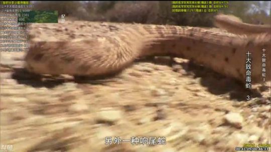 巨人13725发布了一个斗鱼视频2019-07-09