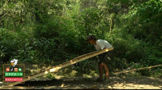 我在斗鱼看野食小哥直播美食