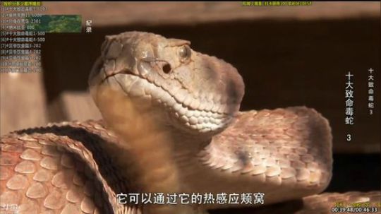 巨人13725发布了一个斗鱼视频2019-07-09