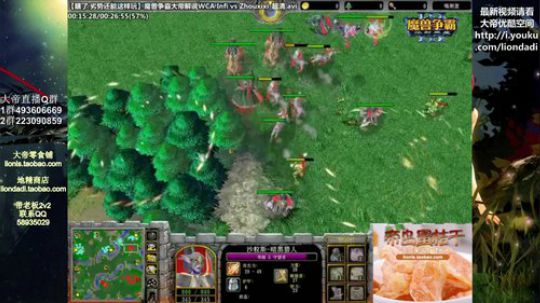 我在斗鱼看大帝LioN直播魔兽争霸