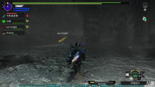 【皮皮】怪物猎人：GU（XX）回味下 2019-06-30 23点场