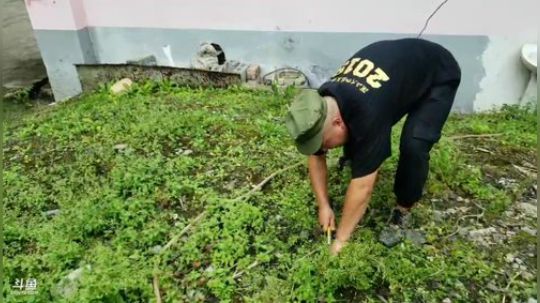 《向往的大咖》第三期 2019-07-08 13点场