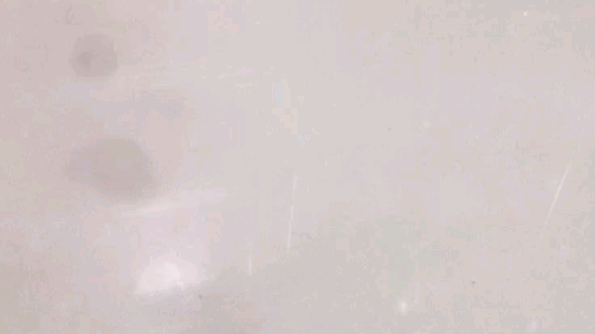 古之恶来张三疯发布了一个斗鱼视频2019-07-10