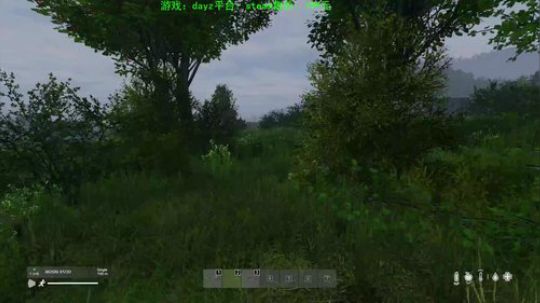 dayz 僵尸末日1.04 2019-07-08 16点场