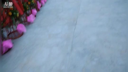 布谷布谷旅游