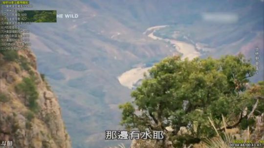 护法惊丶发布了一个斗鱼视频2019-07-10