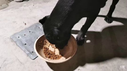 一生守护铁公鸡发布了一个斗鱼视频2019-07-10