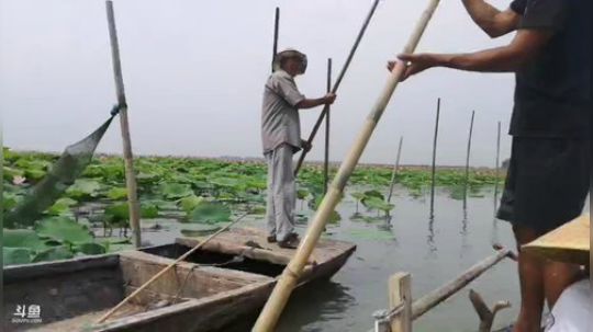 哆啦爱梦梦发布了一个斗鱼视频2019-07-10