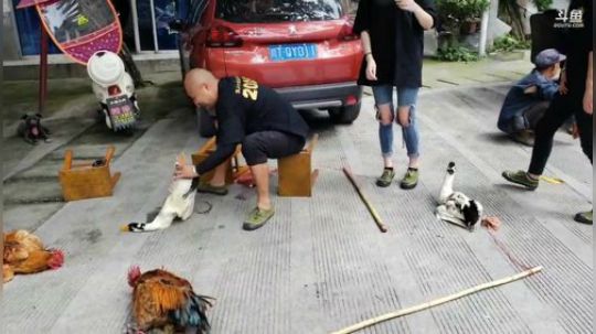 《向往的大咖》第三期 2019-07-09 10点场