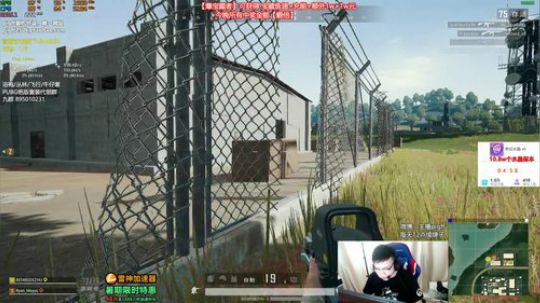 我在斗鱼看pigff直播绝地求生