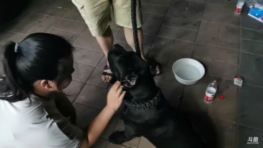 灯泡看病去了