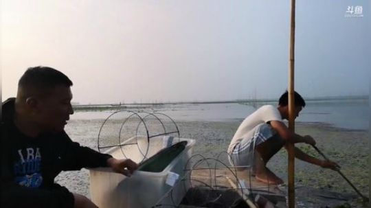 科头溜子发布了一个斗鱼视频2019-07-11