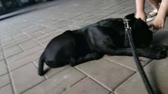 我在斗鱼看无尽无尽的无尽直播美食