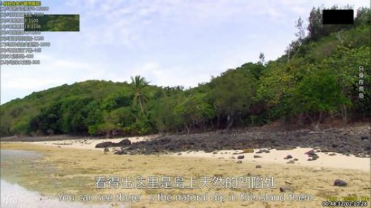 户外遛狗王飞哥发布了一个斗鱼视频2019-07-11