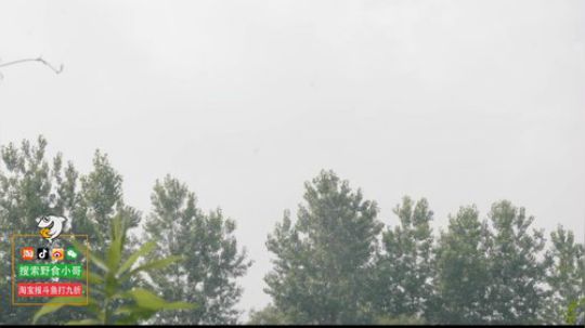 August丶21th发布了一个斗鱼视频2019-07-11