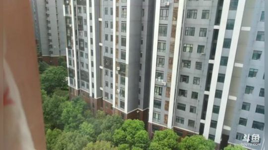 闹闹可遇不可求发布了一个斗鱼视频2019-07-11