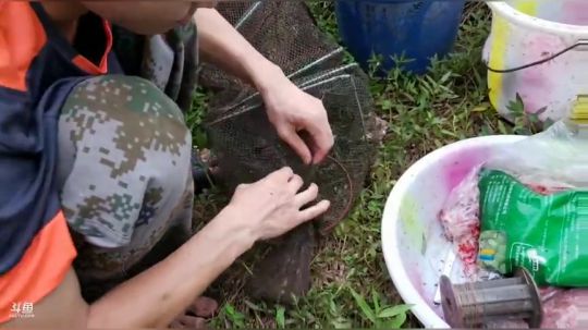 龙虾收割机~ 2019-07-11 19点场