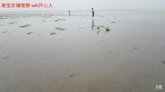 龙马精神丶老狼哥发布了一个斗鱼视频2019-07-13