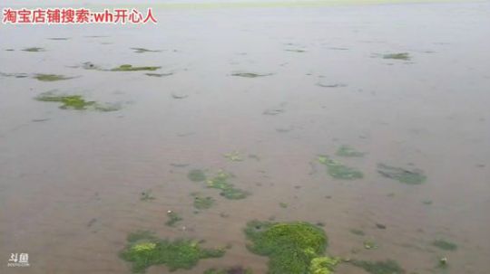 龙马精神丶老狼哥发布了一个斗鱼视频2019-07-13