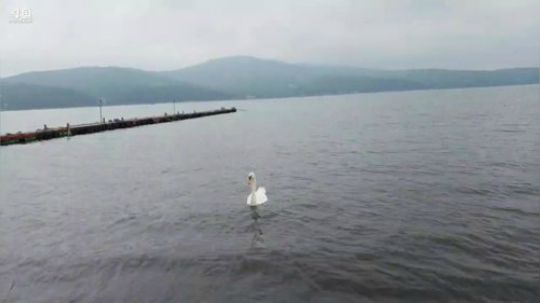 顾影无如白发何丶发布了一个斗鱼视频2019-07-13