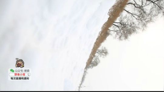 我在斗鱼看野食小哥直播美食