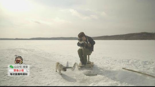 哆啦爱梦梦发布了一个斗鱼视频2019-07-14