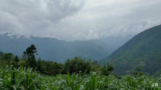 高山人家《乡民的晚餐》(≧ω≦)/ 2019-07-14 13点场