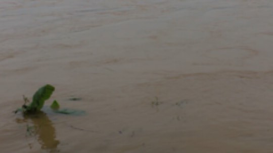 斗神阁灬啸天发布了一个斗鱼视频2019-07-15