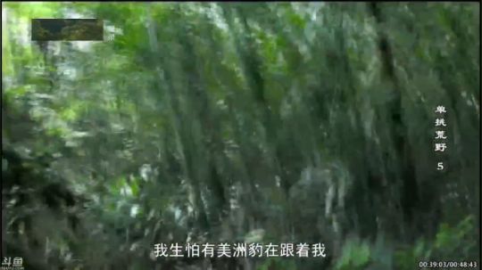 护法惊丶发布了一个斗鱼视频2019-07-13