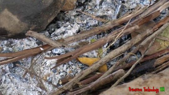 【荒野熊孩】熊孩子抓只青蛙这样烤来吃！油脂四溢真香！