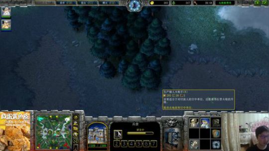 我在斗鱼看大帝LioN直播魔兽争霸