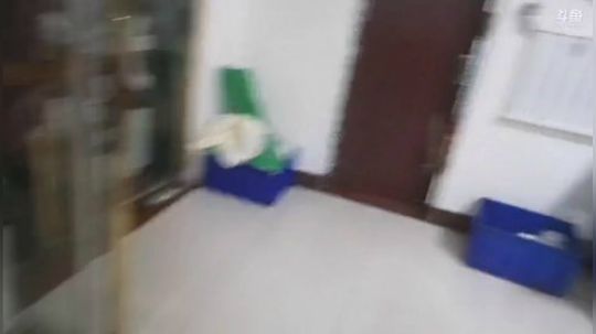 我本善良72发布了一个斗鱼视频2019-07-15