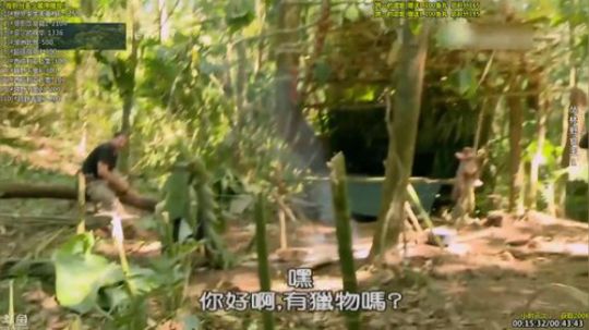 户外遛狗王飞哥发布了一个斗鱼视频2019-07-15