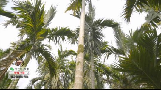 哆啦爱梦梦发布了一个斗鱼视频2019-07-15