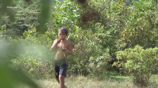 【荒野熊孩】熊孩子在野外捕捉到了一只巨大的绿蜥