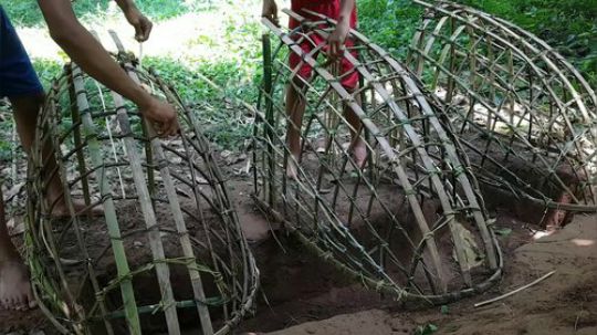 【荒野熊孩】除了吃我们还能建 最新根据地