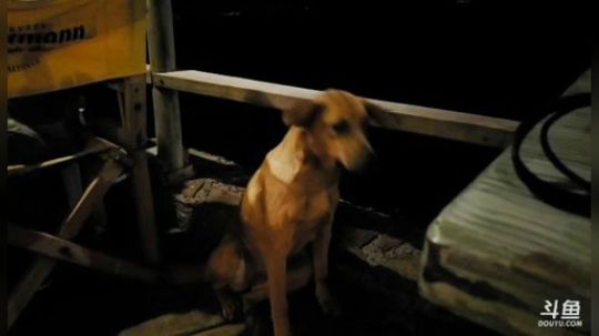 夜游复活节岛 2019-07-09 10点场