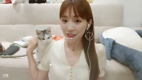 流年手中逝发布了一个斗鱼视频2019-07-15