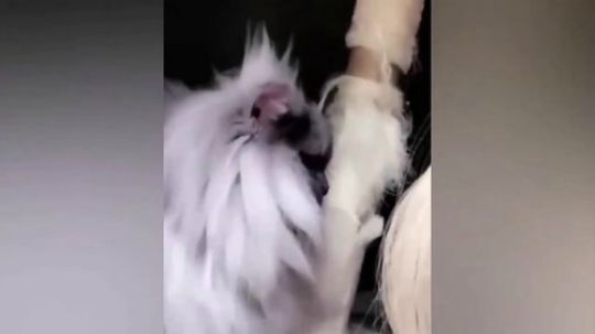 笑死人的搞笑尴尬瞬间【高能瞬间】